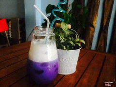 Mojito hoa đậu biếc