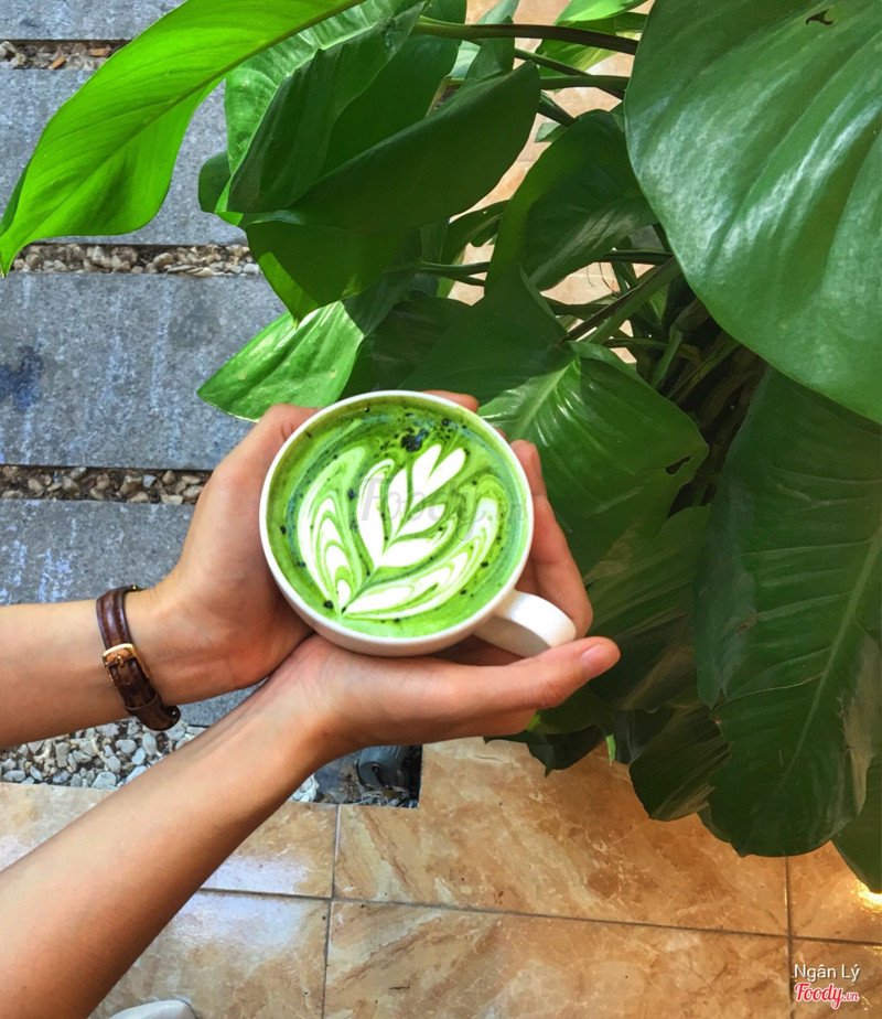 Matcha latte