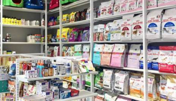 Pet City - Lý Chính Thắng