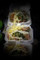 binhho7012 Hồ văn bình