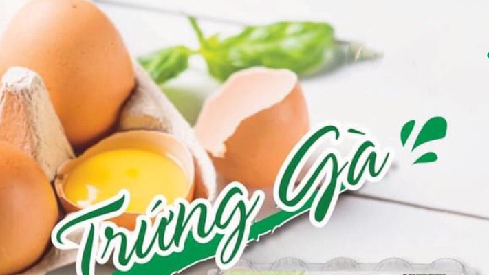 Đại Lý Trứng Gà CP - Nguyễn Bảo Đức