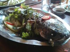 cá lóc hấp bầu