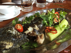 Cá lóc hấp bầu
