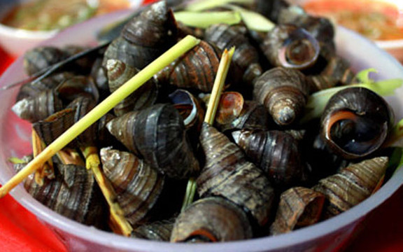 Ốc Nóng - Nem Cuốn