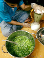 Sauce Homemade 100%