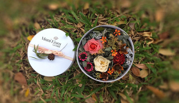 Mani Flora - Xưởng Hoa Khô Việt