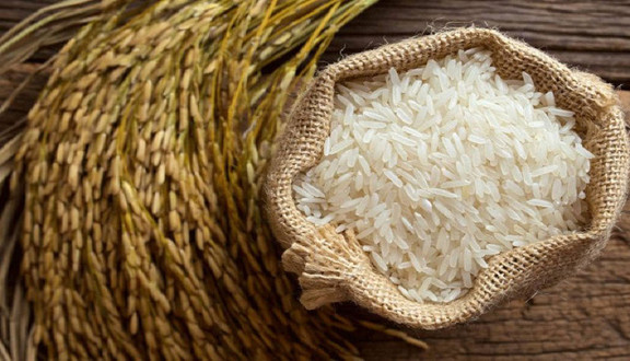 Gạo Ngon Ba Miền - Trần Huy Liệu