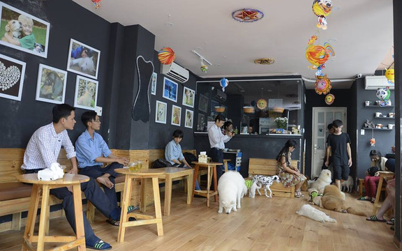 Hachiko Coffee - Cafe Thú Cưng