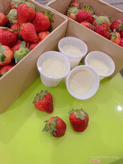 Sữa chua phô mai Đà Lạt