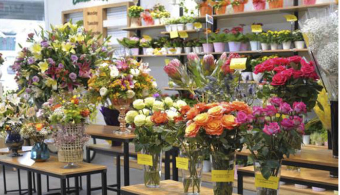 Dalat Hasfarm Bạch Mai - Shop Hoa Tươi