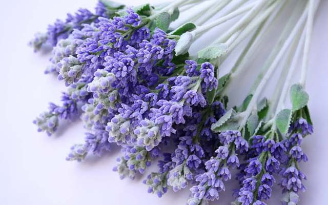 Cửa Hàng Hoa Vscential - Pasteur