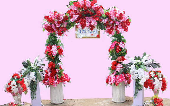 Dịch Vụ Cưới Vui Vui