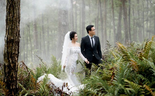 Phạm Hoàng Studio