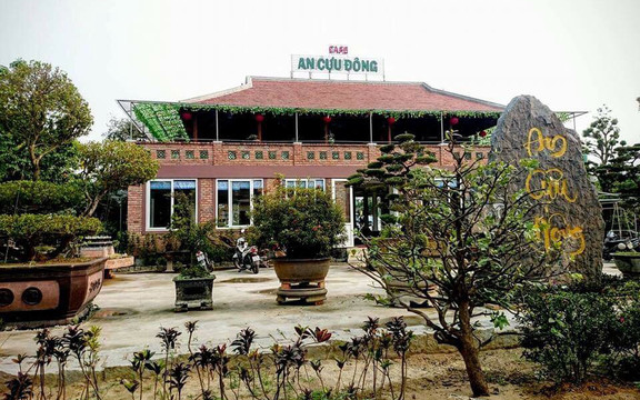 An Cựu Đông Cafe - Cafe Cây Cảnh