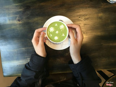 matcha