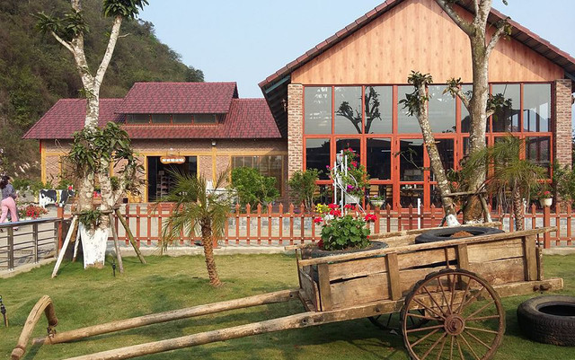 Dairy Farm - Trang Trại Bò Sữa Môc Châu