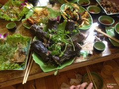 ếch hấp nước dừa