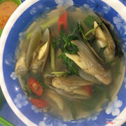 Tu hài