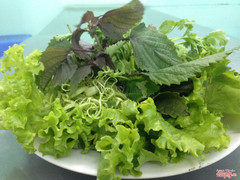 Rau rất sạch và rất tươi...