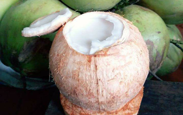 Tùng Anh - Dừa Xiêm Bến Tre