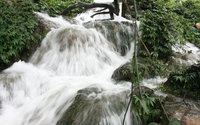 Hang Phượng Hoàng & Suối Mỏ Gà