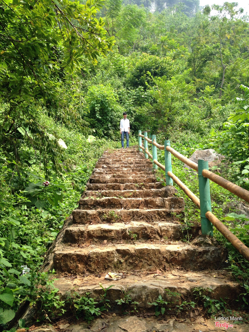 Bậc thang leo lên hang phượng hoàng, khá cao