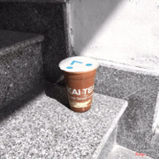 Chocolate Cheese Cake