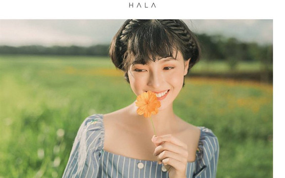 HALA - Nam Định