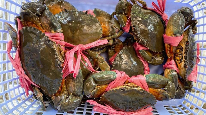 Hải Sản Dâu Tây - Hồ Hoà