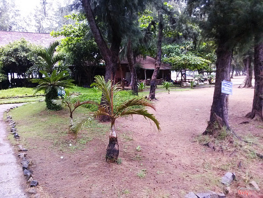 Hướng vào biển