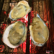 Hàu mập ú u luôn ạh 💕 