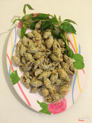 Ốc cà na rang muối 49k