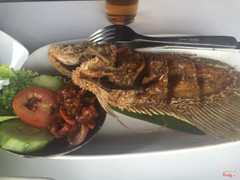 Cá chiên Bali
