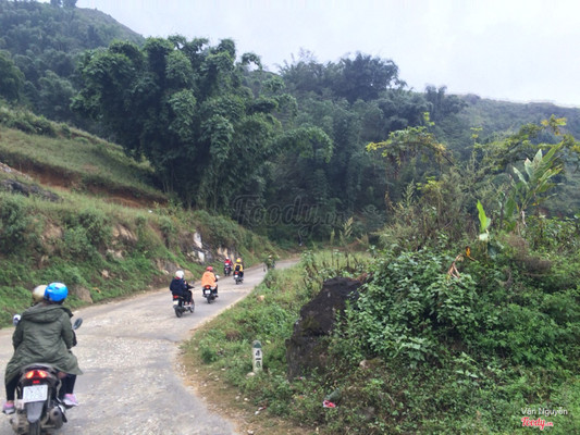 đúng rồi ạ, nó như kiểu một đường hầm toàn tre là tre, lúc đi qua cái hầm ấy cảm giác hơi tối nhưng lại thấy hòa vào thiên nhiên ý ạ