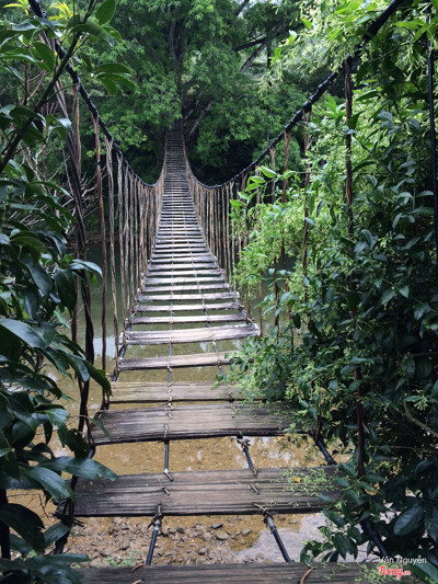Nhìn cái cầu đẹp ghê