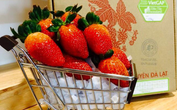 Livefoods Market - Marison