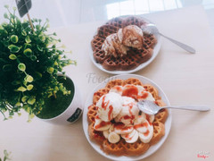 waffles (bánh kếp nhiều loại)
