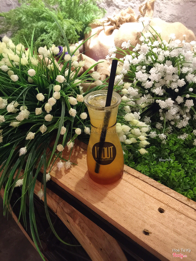 Mocktail Cam