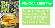 vua xoài miền tây