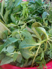 rau rừng tại quán Gia Đình Số 1