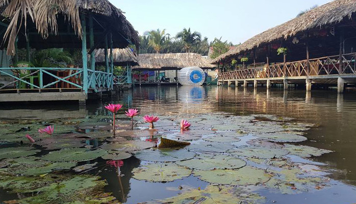 Nông Trại Ong Vàng - Khu Du Lịch Sinh Thái