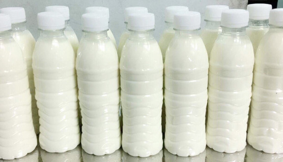 Nonglam Milk - Sữa Bò Tươi Thuần Khiết