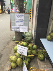 Giá rổ dừa tươi