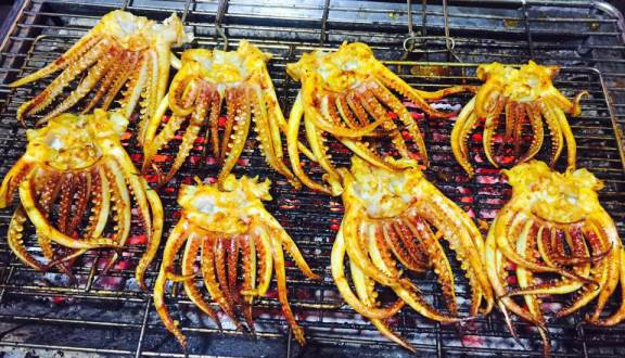 Mực Khổng Lồ HK