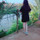 Thúy Hằng