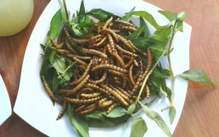Cần Thơ 