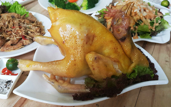 Gà Chỉ Diêu Trì