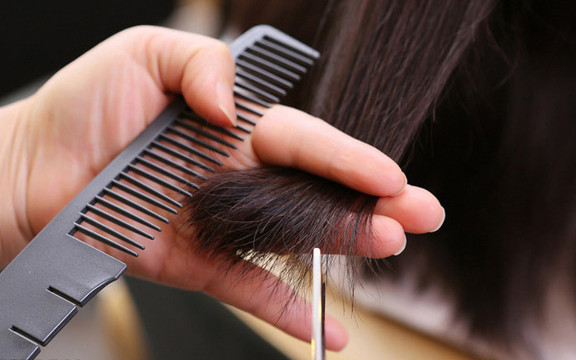 Salon Mộc Lan - Trần Đăng Ninh