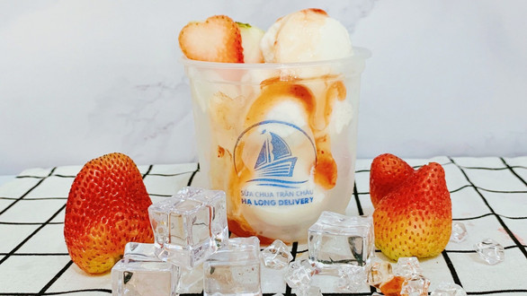 Sữa Chua Trân Châu Hạ Long - Nguyên Liệu Sữa Chua - Lạc Trung