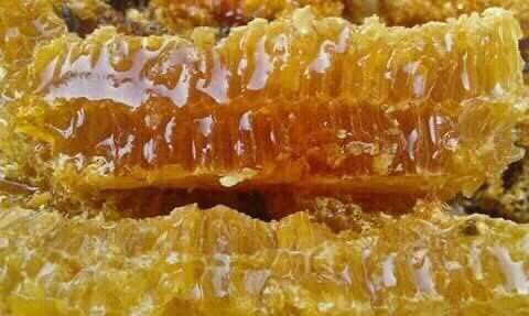 Thanh Hương - Mật Ong Hoa Cafe 100% Tự Nhiên - Nguyễn Du